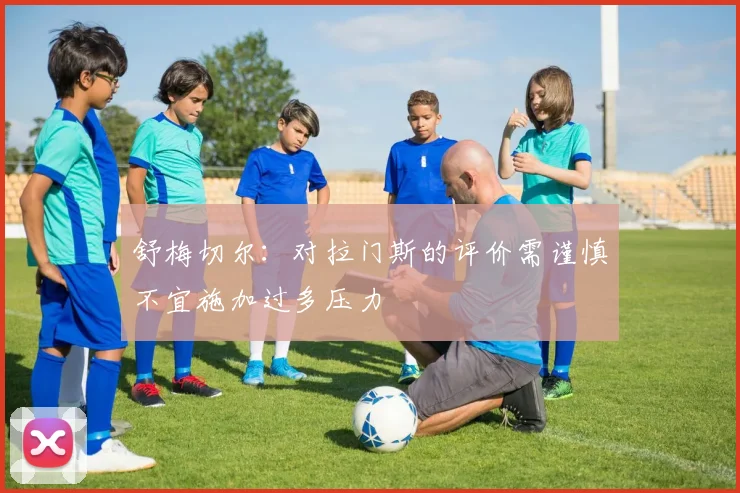 舒梅切尔：对拉门斯的评价需谨慎不宜施加过多压力