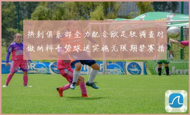 热刺俱乐部全力配合欧足联调查对做纳粹手势球迷实施无限期禁赛措施